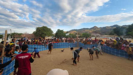 LOMBA TANGKAP BEBEK